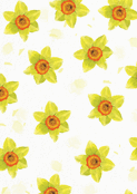 Fleurs jaunes et &eacute;clat d'&eacute;t&eacute; rayonnant